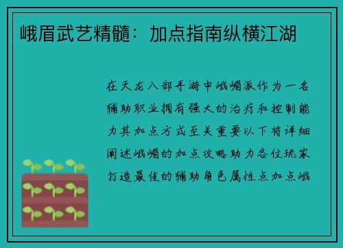 峨眉武艺精髓：加点指南纵横江湖